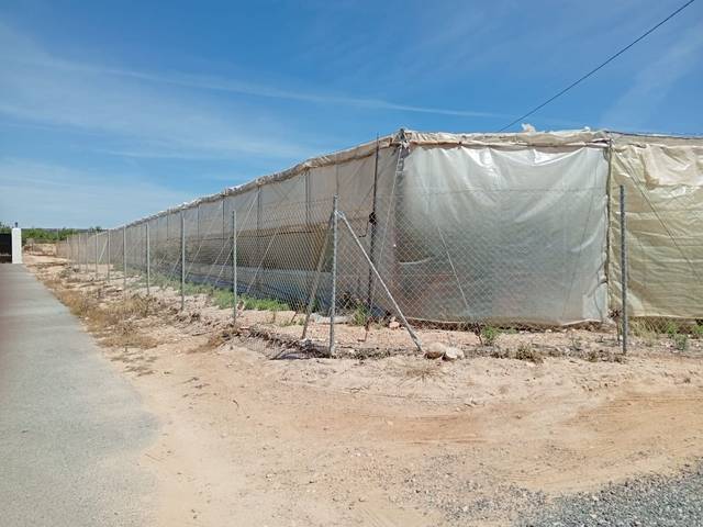 Terreno en Alquiler en Partida Maitino, 1117 en Perleta - Maitino