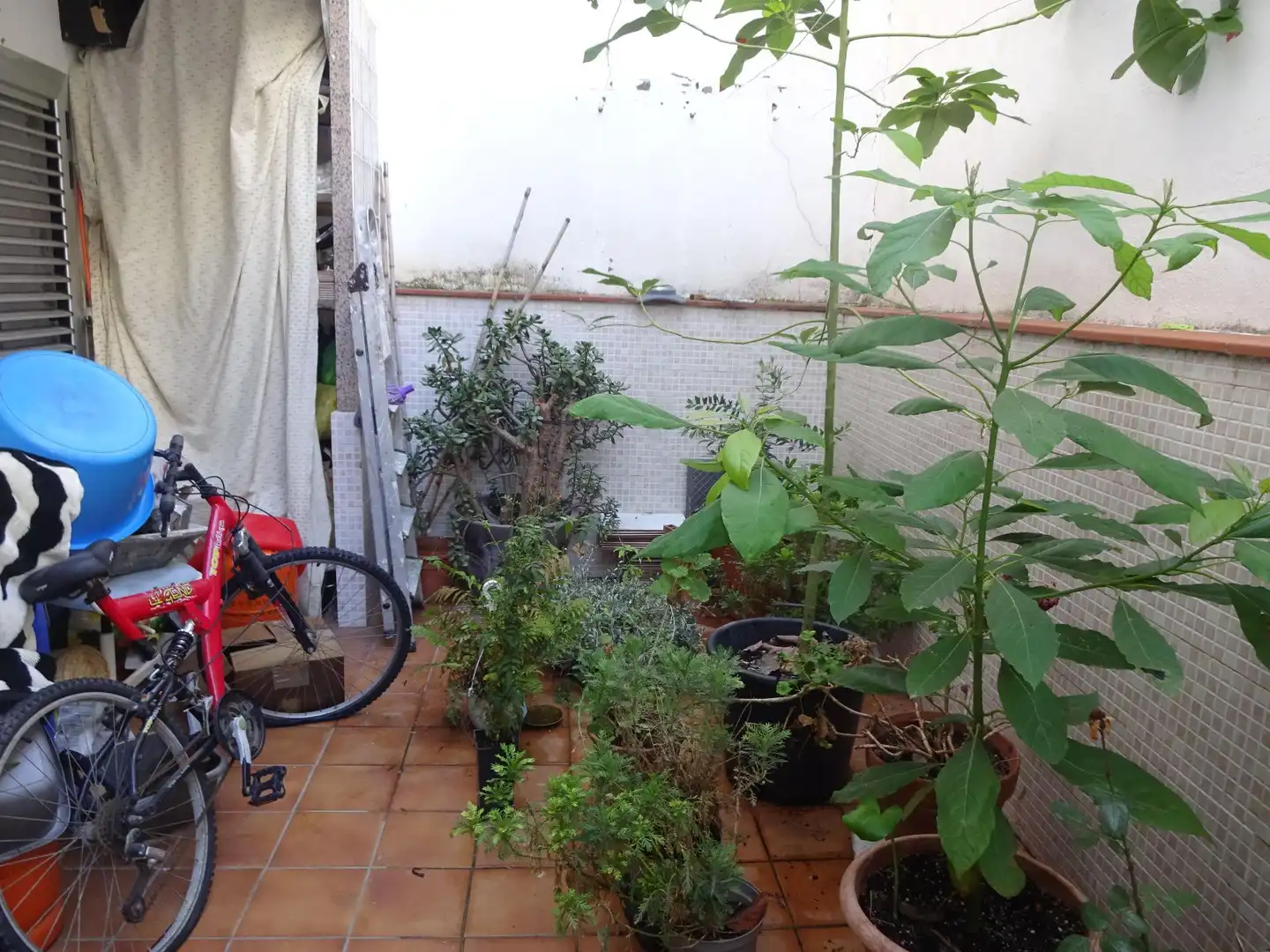 Flat for sale in Rocafonda, imagen 9