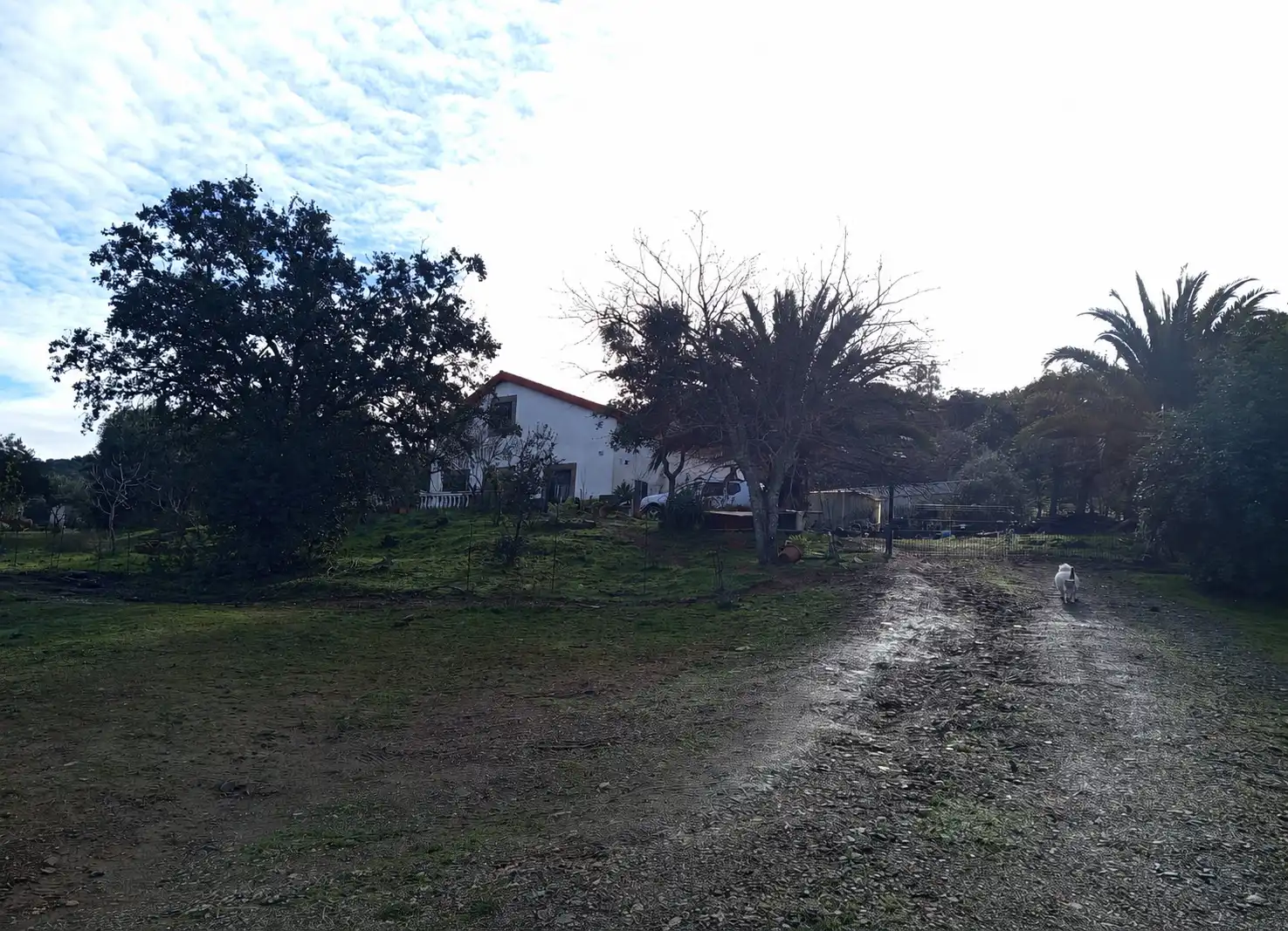 Finca rústica en venda en Almadén de la Plata amb Jardí privat