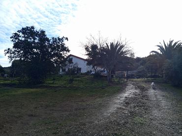 Maison rustique avec jardin à vendre à Almadén de la Plata