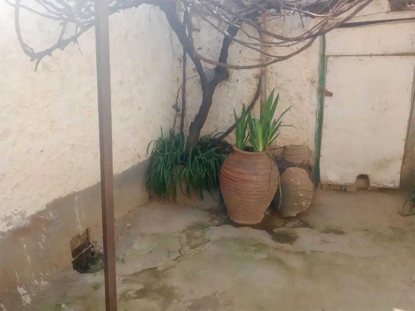 Jardí de Casa o xalet en venda en Quintanilla del Monte amb Jardí privat, Traster i Moblat