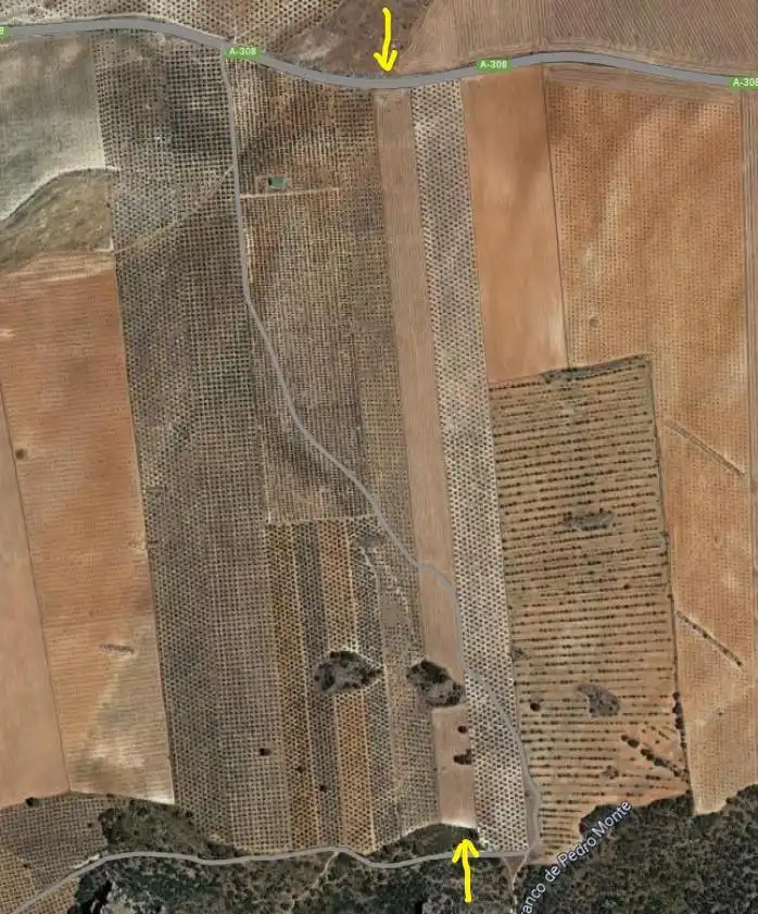 Terreny rústic en venda a De Bogarre A Darro Km 22 22, imagen 8
