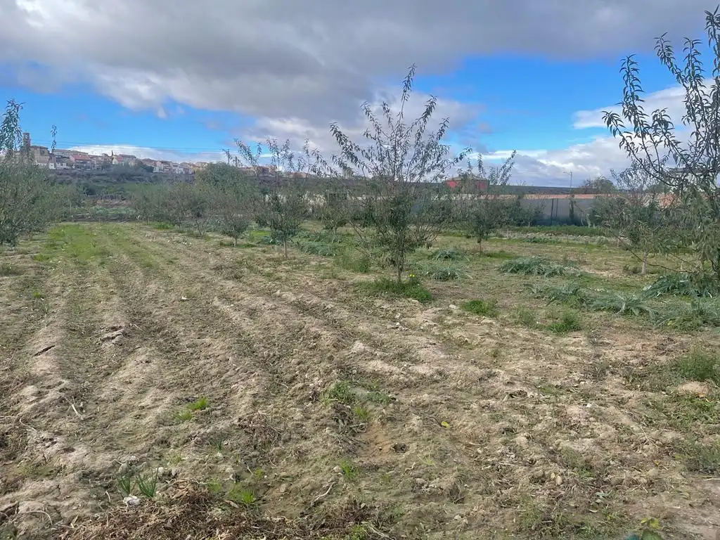 Terreno rustico in vendita a Calahorra, imagen 6