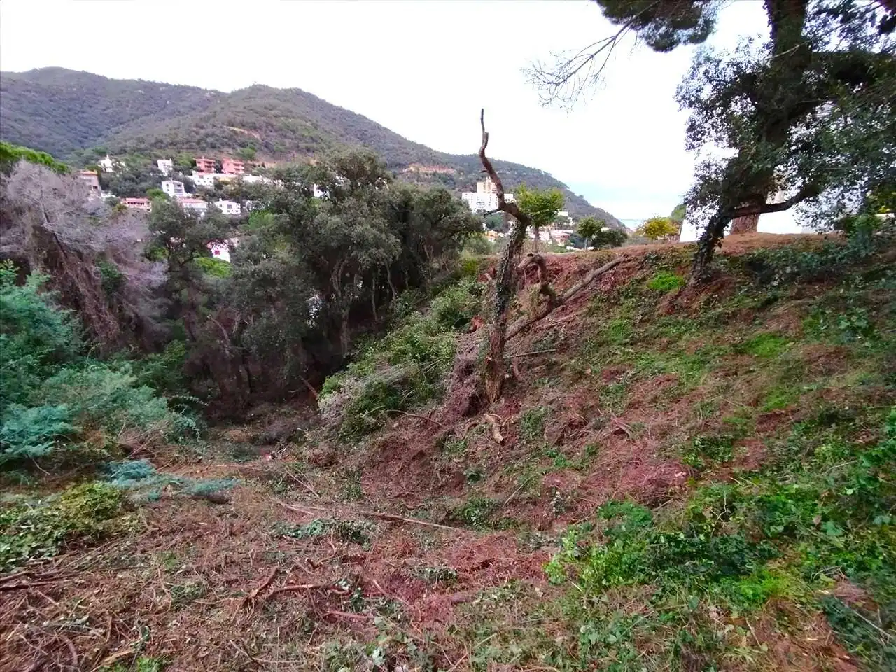 Residential land for sale in Urbanizacion de Rosamar 126, imagen 10