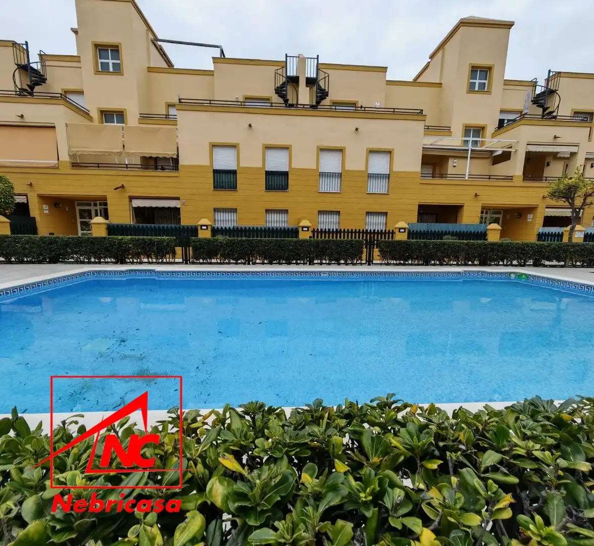 Schwimmbecken von Wohnung zur Miete in Rota mit Terrasse, Schwimmbad und Möbliert