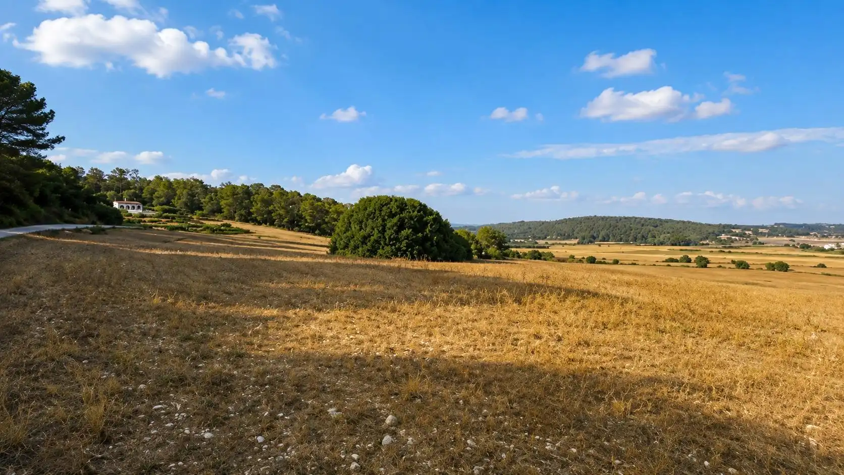 Terreni e lotti in vendita a Algaida, imagen 7