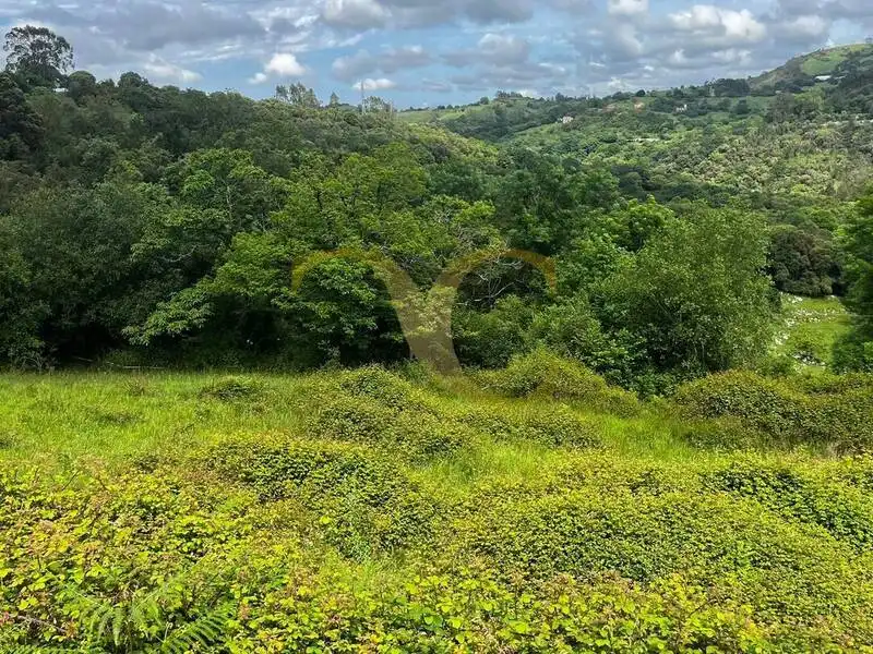 Terreny rústic en venda a Andinas, imagen 7