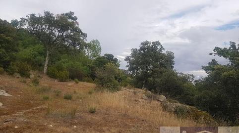 Photo 4 of Country house for sale in La Cabrera, Madrid