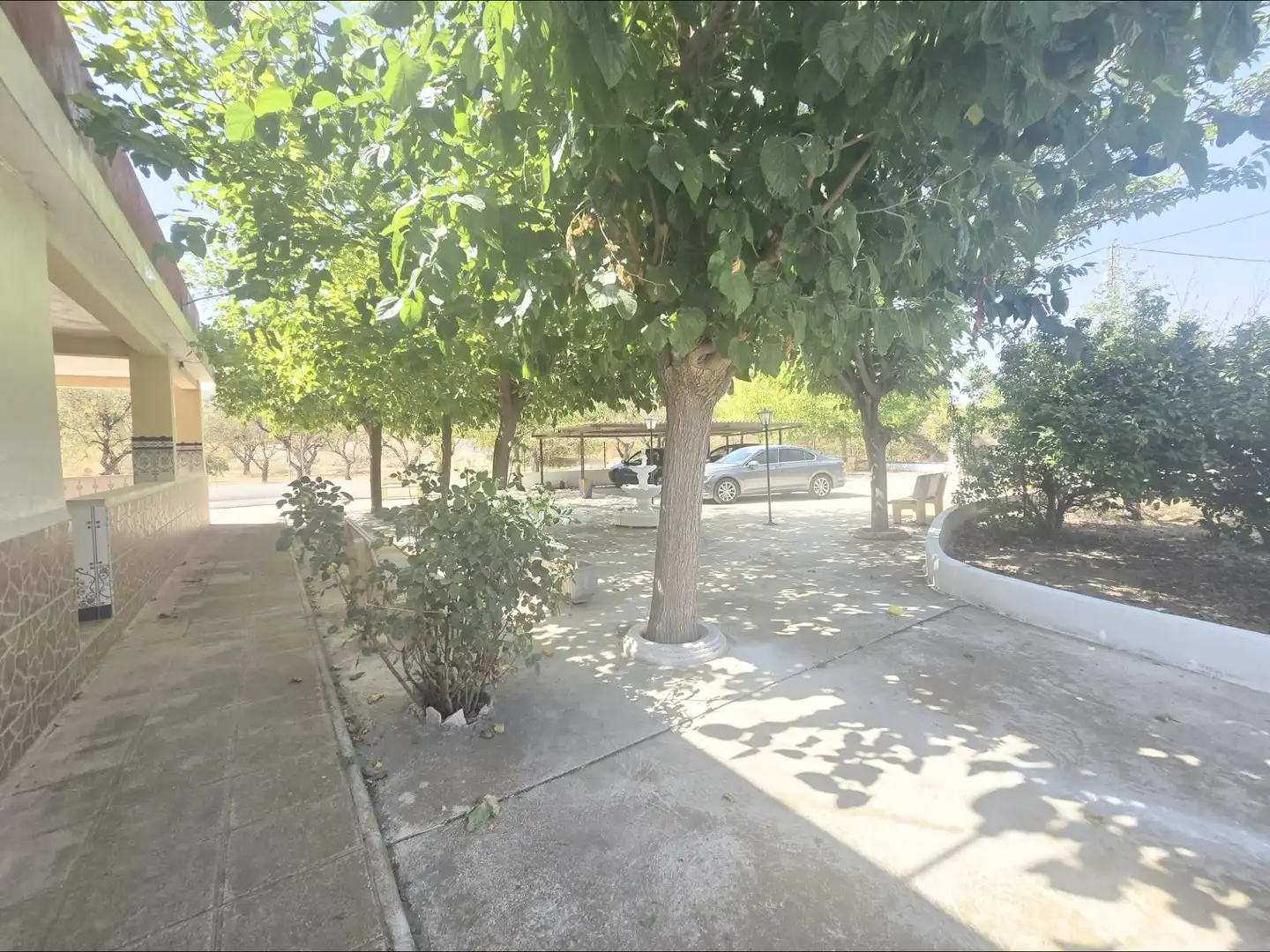 Exterior view of Houses for sale in Aspe