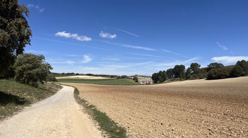 Finca en Padul, immagine 2