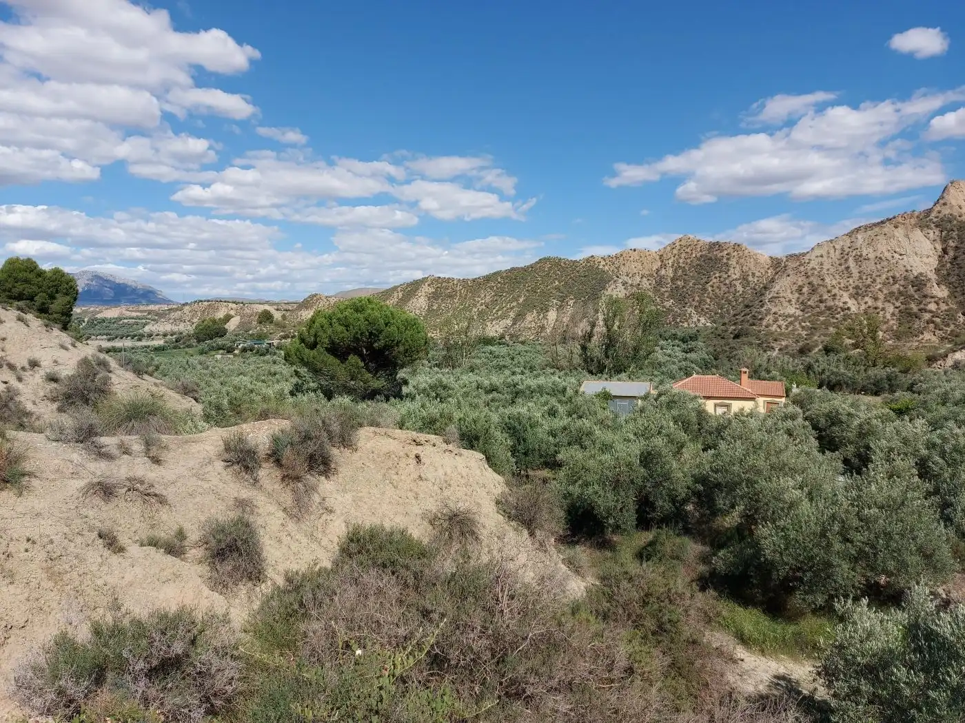Casa rústica en venda a Guadix, imagen 8