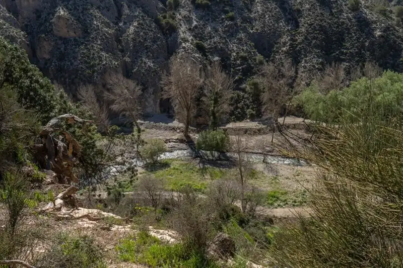 Terreni e lotti in vendita a Villamena, imagen 14