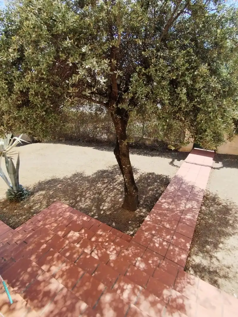 Jardí de Casa o xalet en venda en Cáceres amb Aire condicionat, Calefacció i Jardí privat