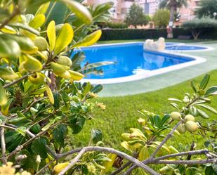 Garden of Flat to rent in Alicante / Alacant  with Air Conditioner and Terrace