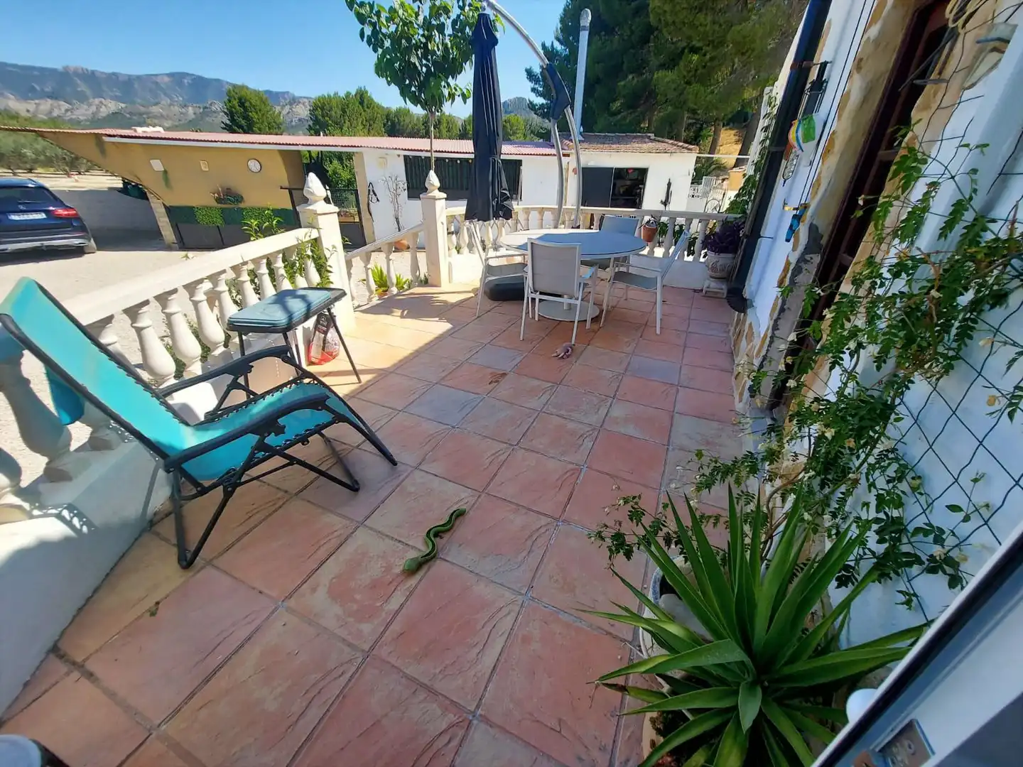Terrace of Country homes for sale in Cieza  with Private garden and Swimming Pool