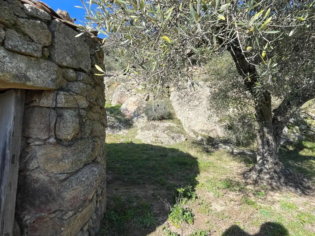 Terreni e lotti in vendita a Calle Hernán Cortés 1, imagen 3