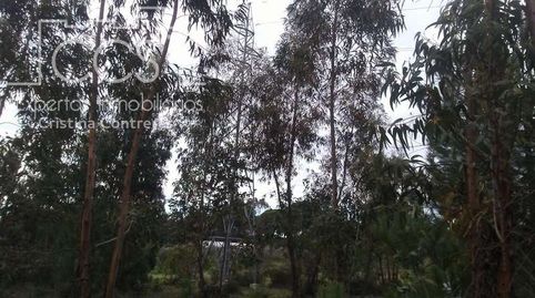 Venta de finca rústica EN PROPIEDAD de 67.589 m de terreno entre Pinares y eucaliptos en Almonte., imatge 4