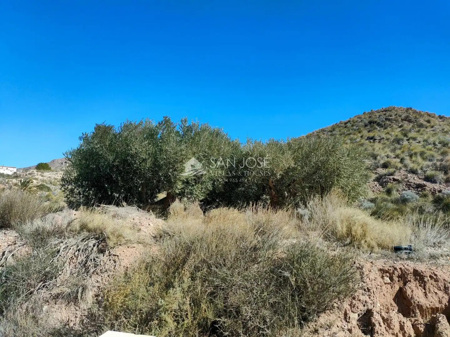 Lands and plots for sale in Abanilla, imagen 7