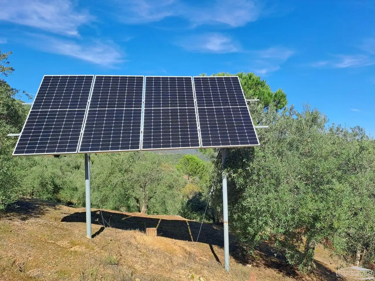 Jardín de Casa o chalet en venta en Villaviciosa de Córdoba con Piscina