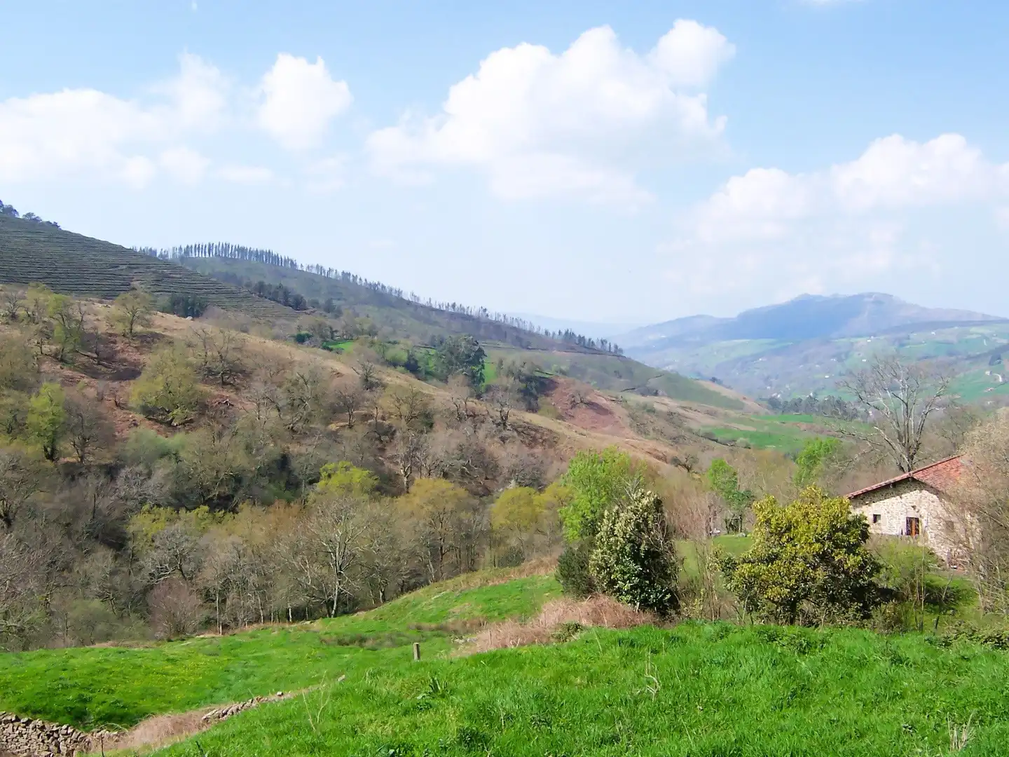 Casa o chalet en venta en Saro
