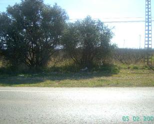 Industrial land for sale in Carlet