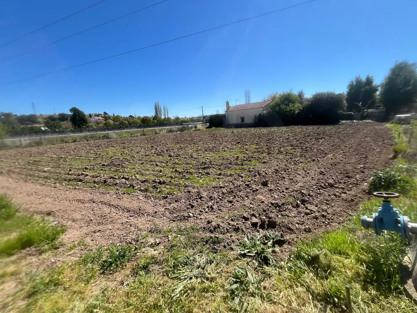 Terreno rústico en venta en Ciudad Rodrigo, imagen 6