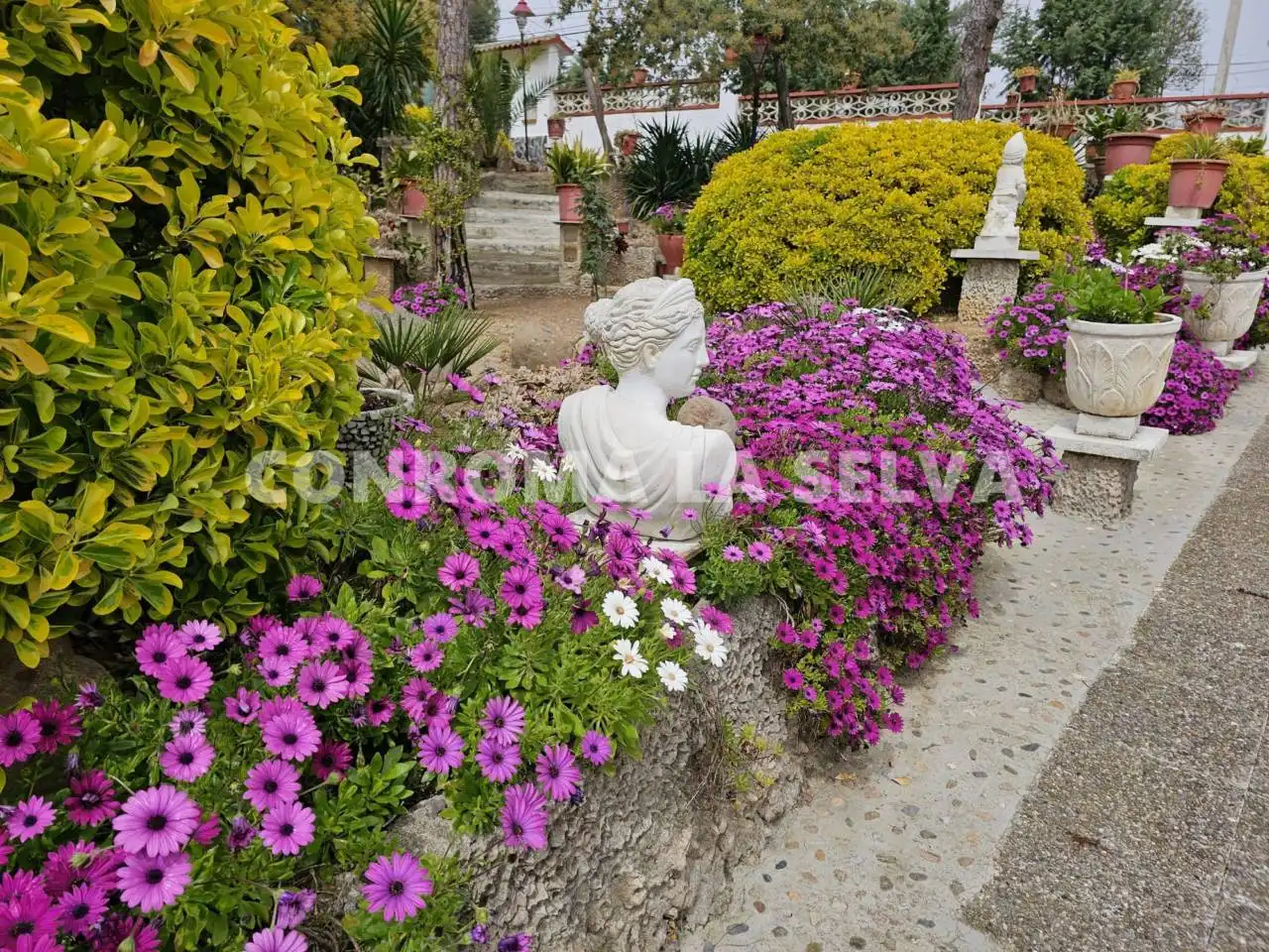 Maison avec piscine à vendre à Mas Altaba - El Molí, imagen 4