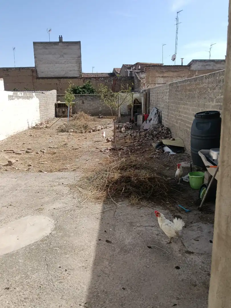 House for sale in Calle Luna, imagen 4
