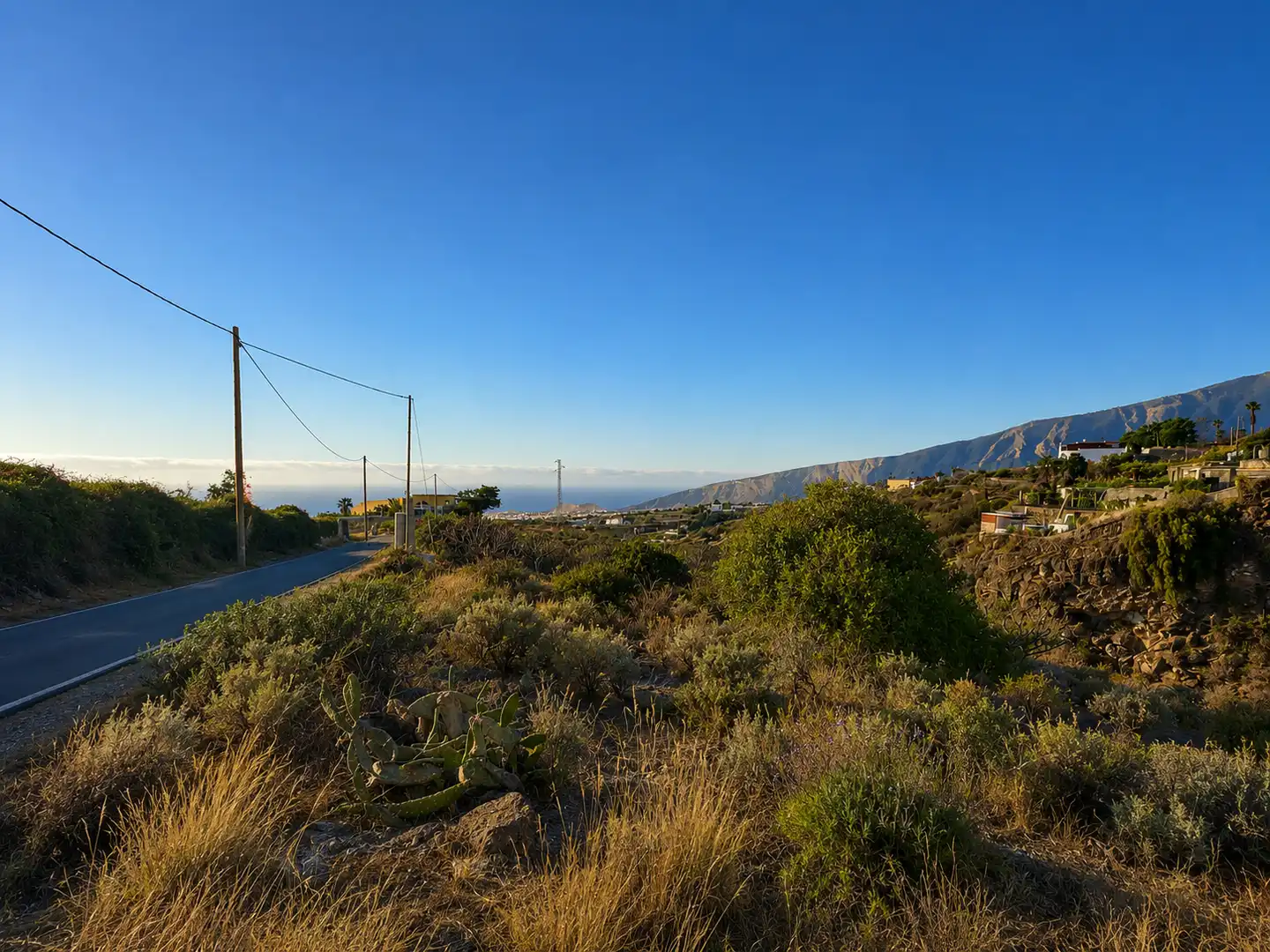 Rural land for sale in Arafo, imagen 2