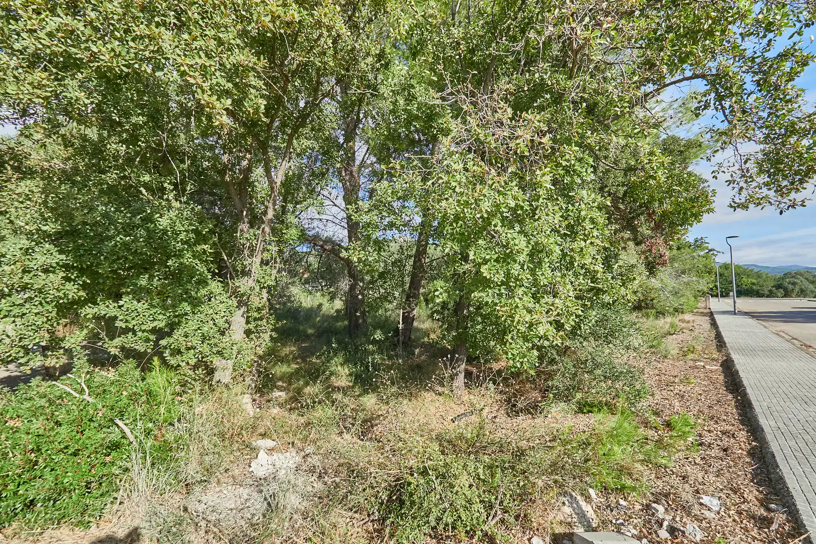 Casa o chalet en venta en Alcover