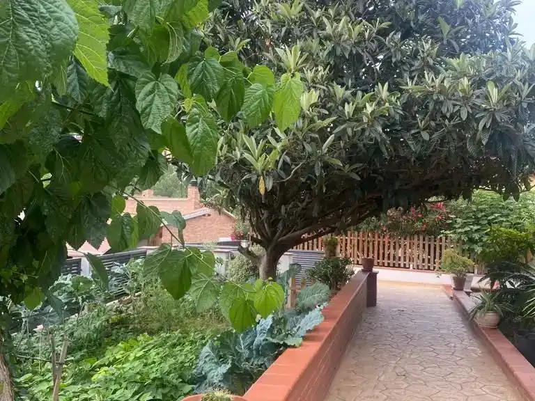 Terrace of Flat for rent in Tordera