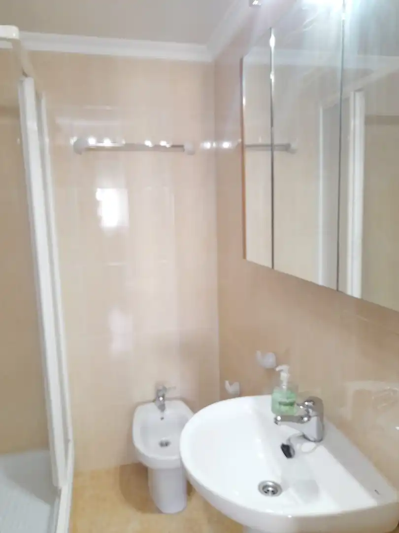 Wohnung mit Terrasse zur Miete in Calle Fernando el Católico 31, imagen 7