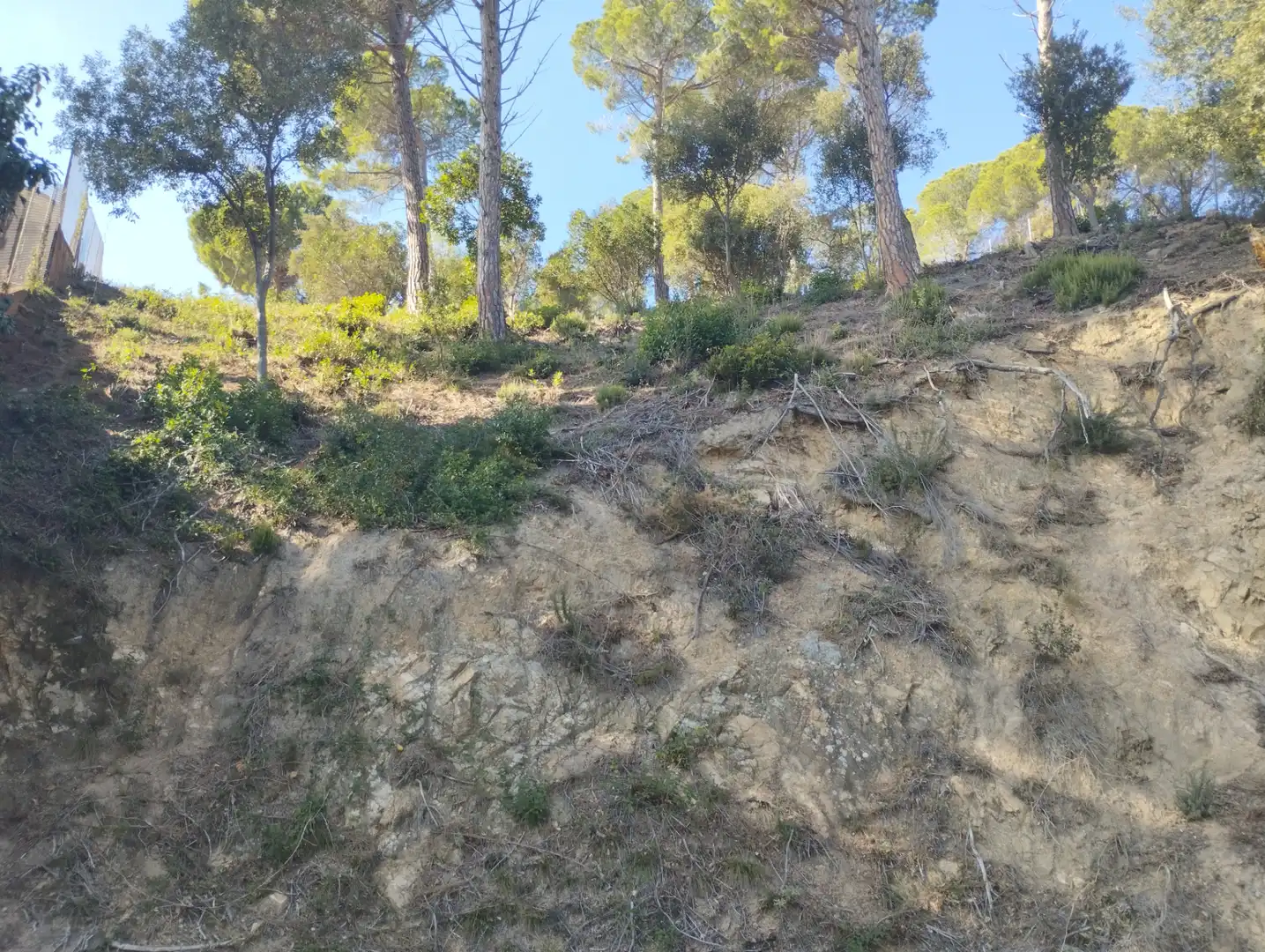 Wohnbaugrundstück zum Verkauf in Carrer de la Pedra 33