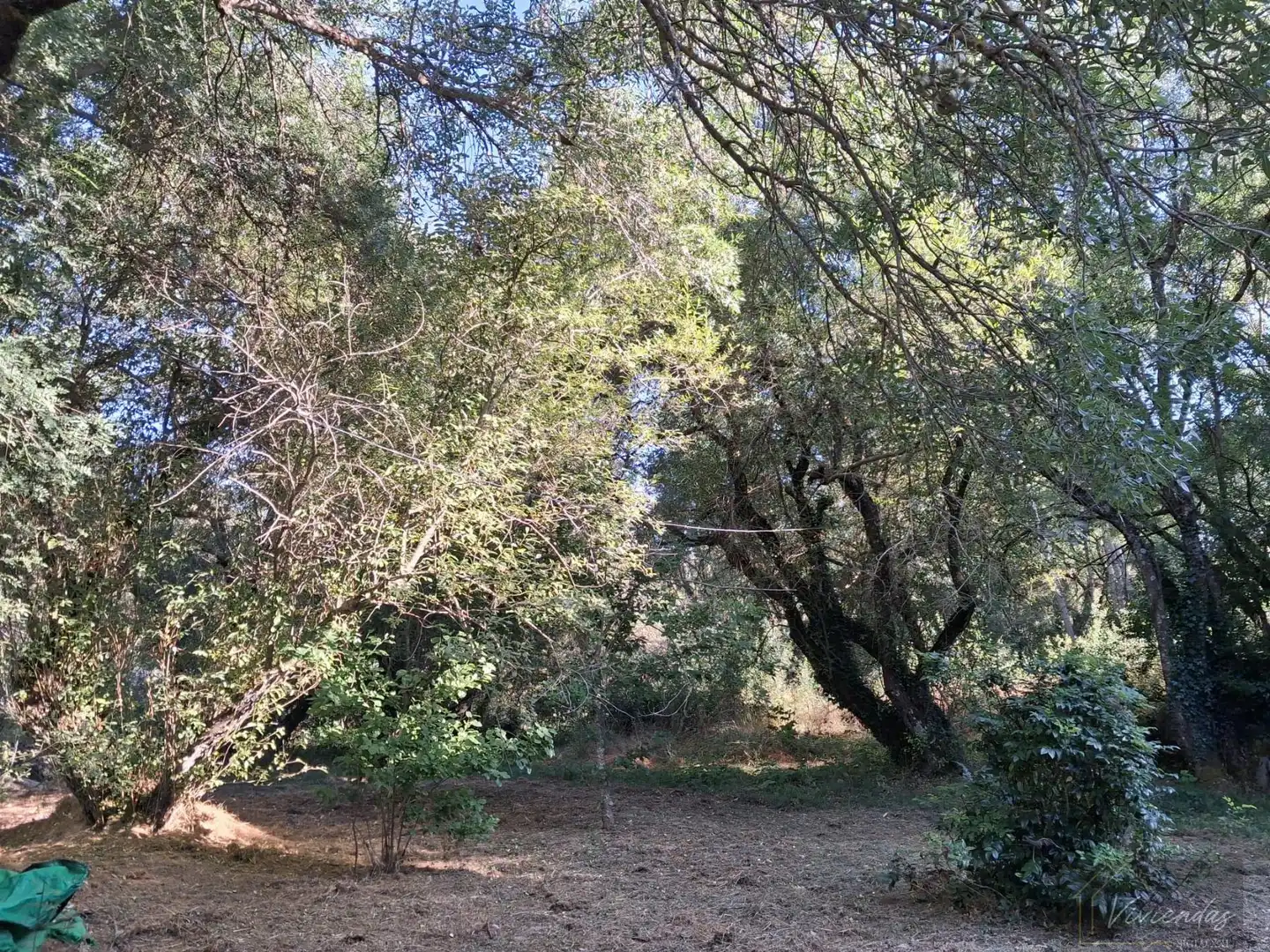 Finca rústica en venta en Bustarviejo