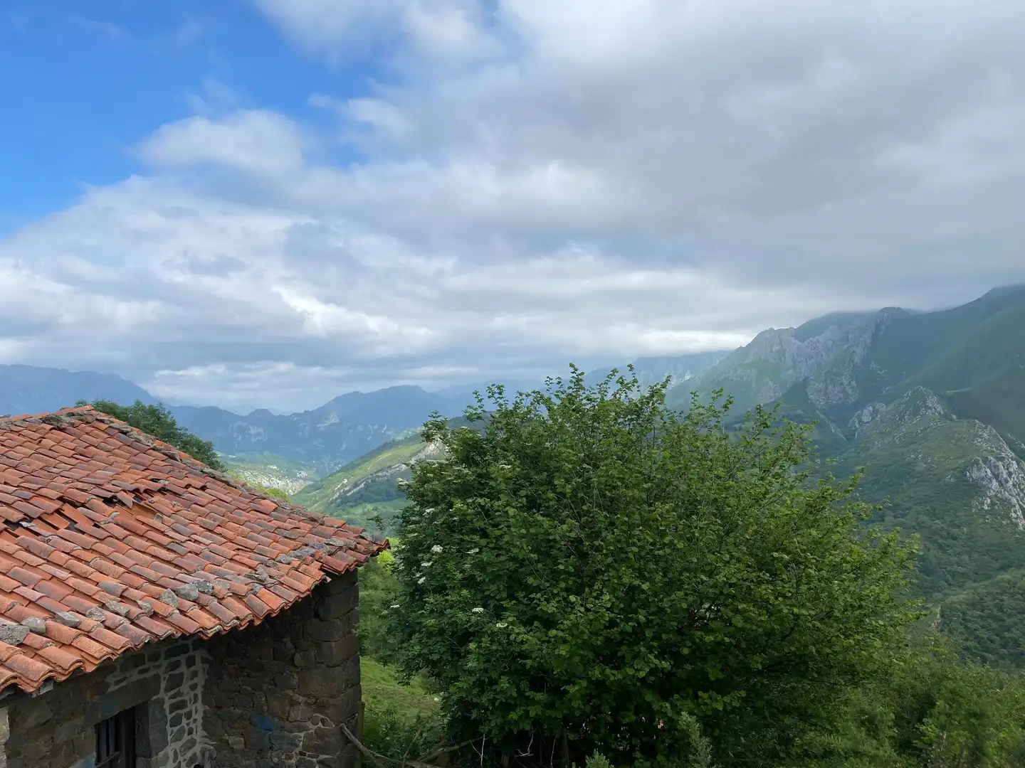 Land for sale in La Molina, Cabrales