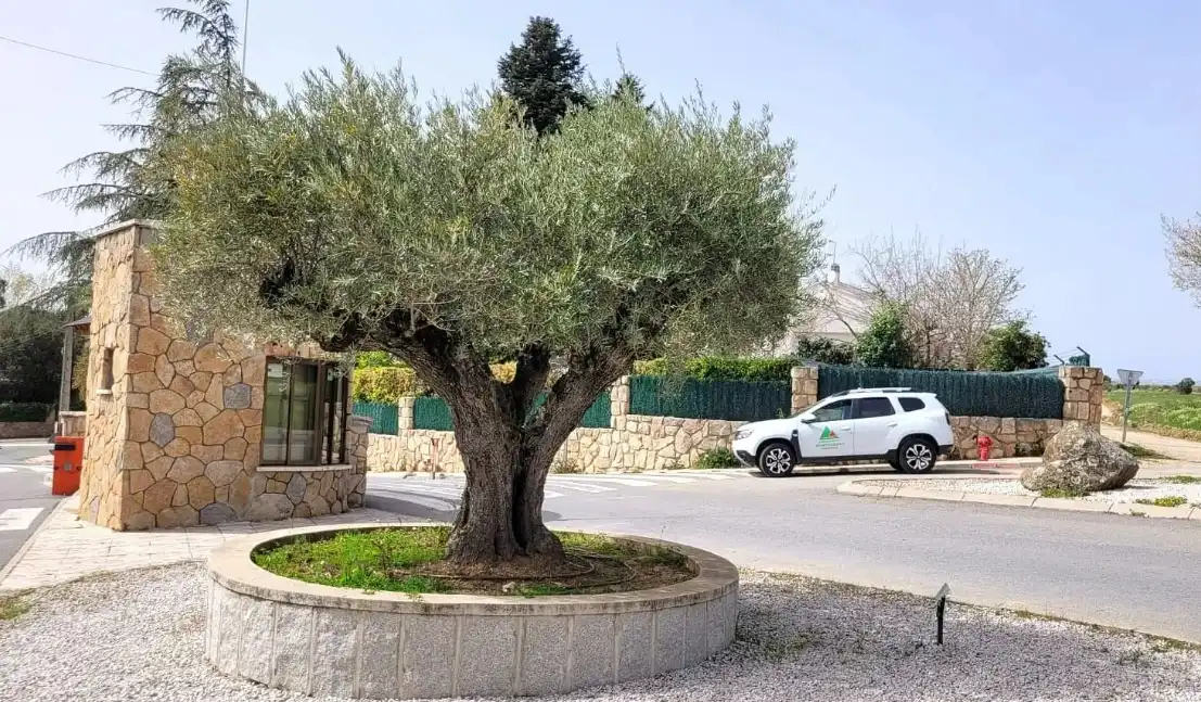 Residential land for sale in Pedrezuela, imagen 15