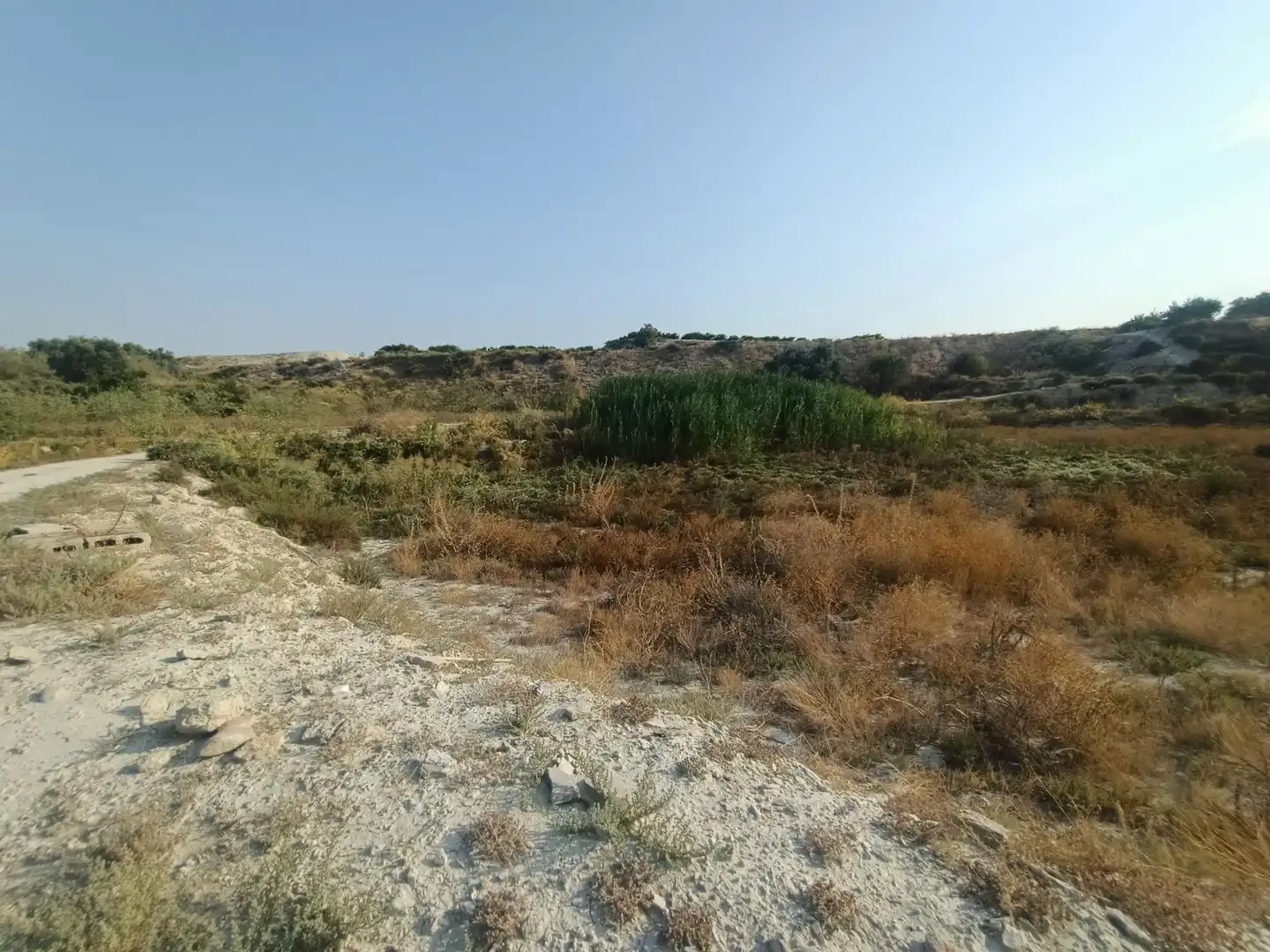 Terreny residencial en venda a Alguazas, imagen 4