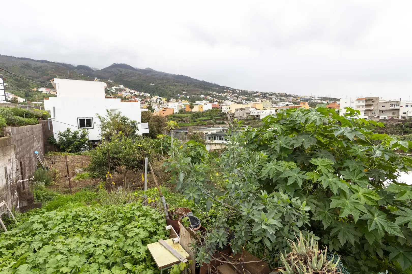 Casa o chalet en venta en La Victoria de Acentejo
