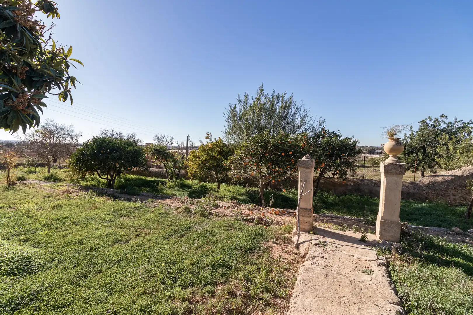 Finca rústica en venta en  Palma de Mallorca