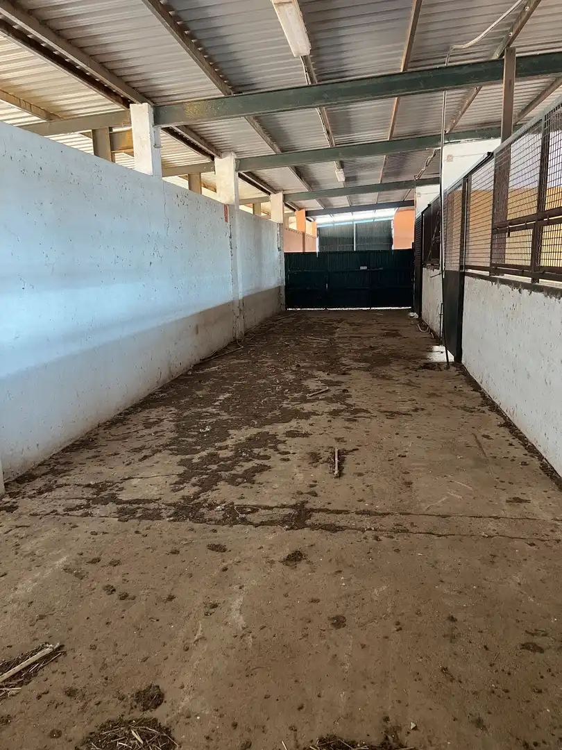 Land for sale in Calle Hernán Cortés, 20, Jaraicejo