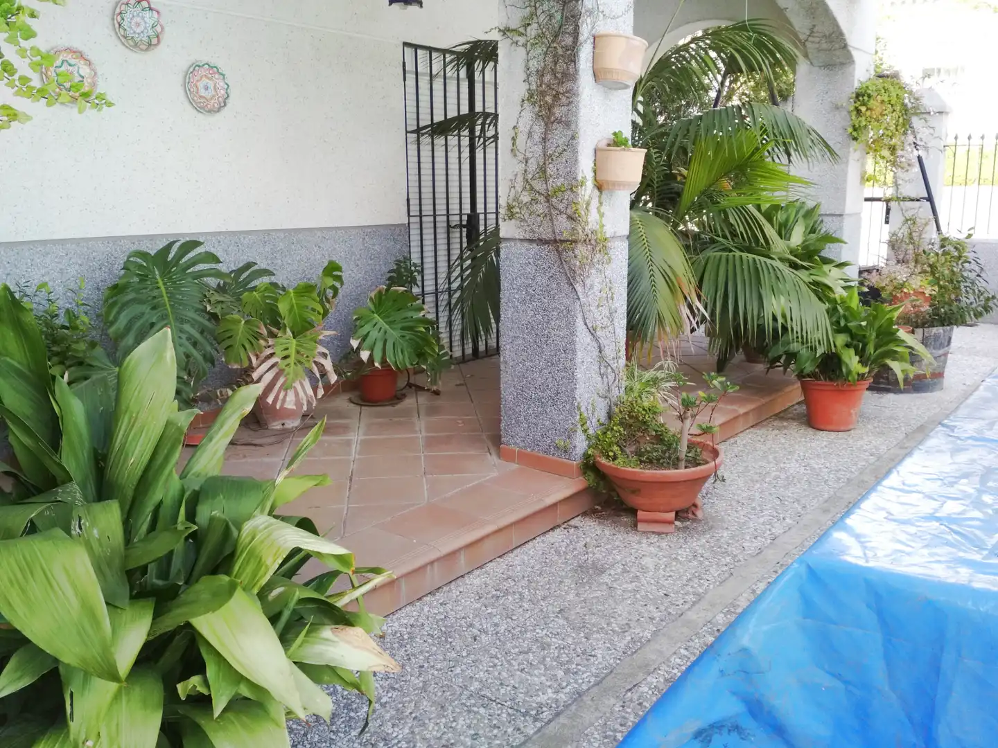 Jardín de Casa o chalet de alquiler en Sanlúcar de Barrameda con Aire acondicionado, Calefacción y Jardín privado