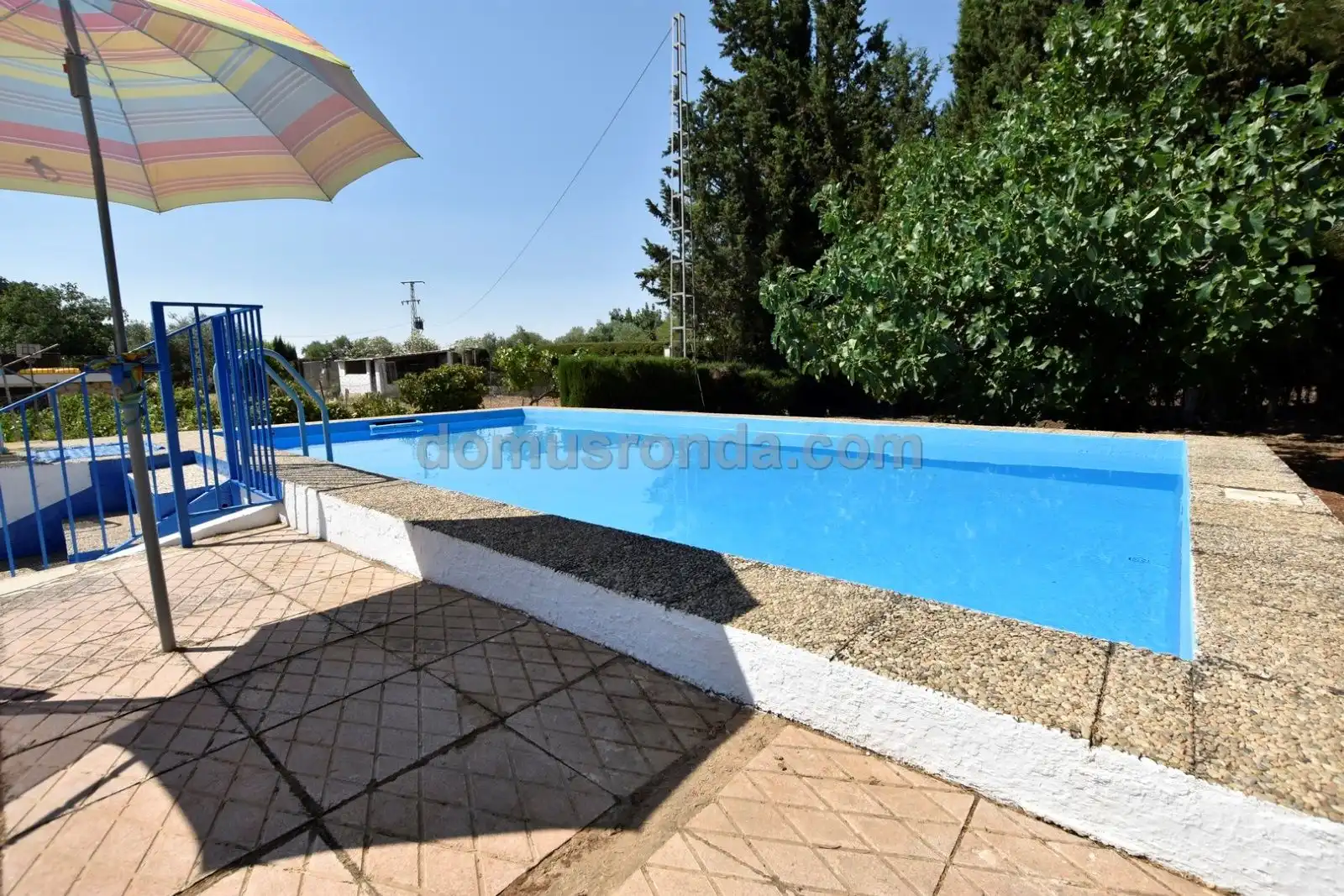 Piscina de Finca rústica en venta en Ronda con Terraza y Amueblado