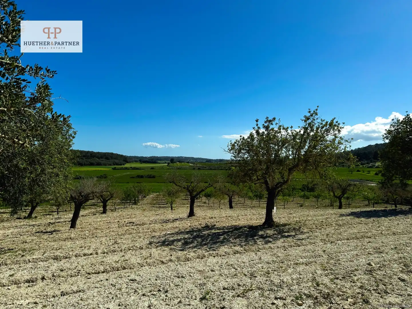 Terreno residenziale in vendita a Montuïri, imagen 2
