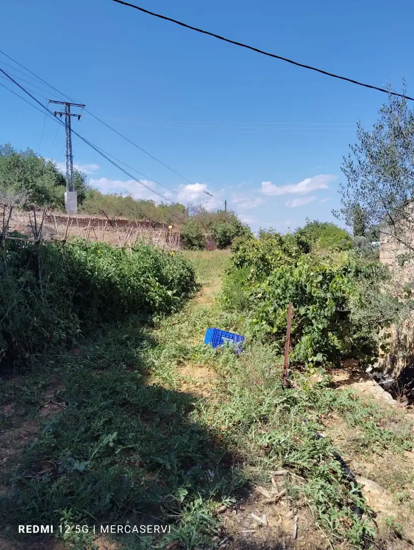 Casa o chalet en venta en Les Coves de Vinromà con Terraza