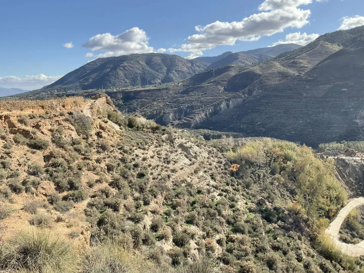 Land for sale in Padules