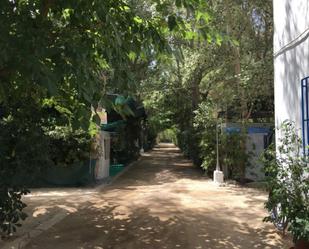 Garden of Building for sale in Oliva