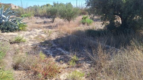 Foto 3 de Terreno en venta en Cañada del Fenollar, Alicante / Alacant