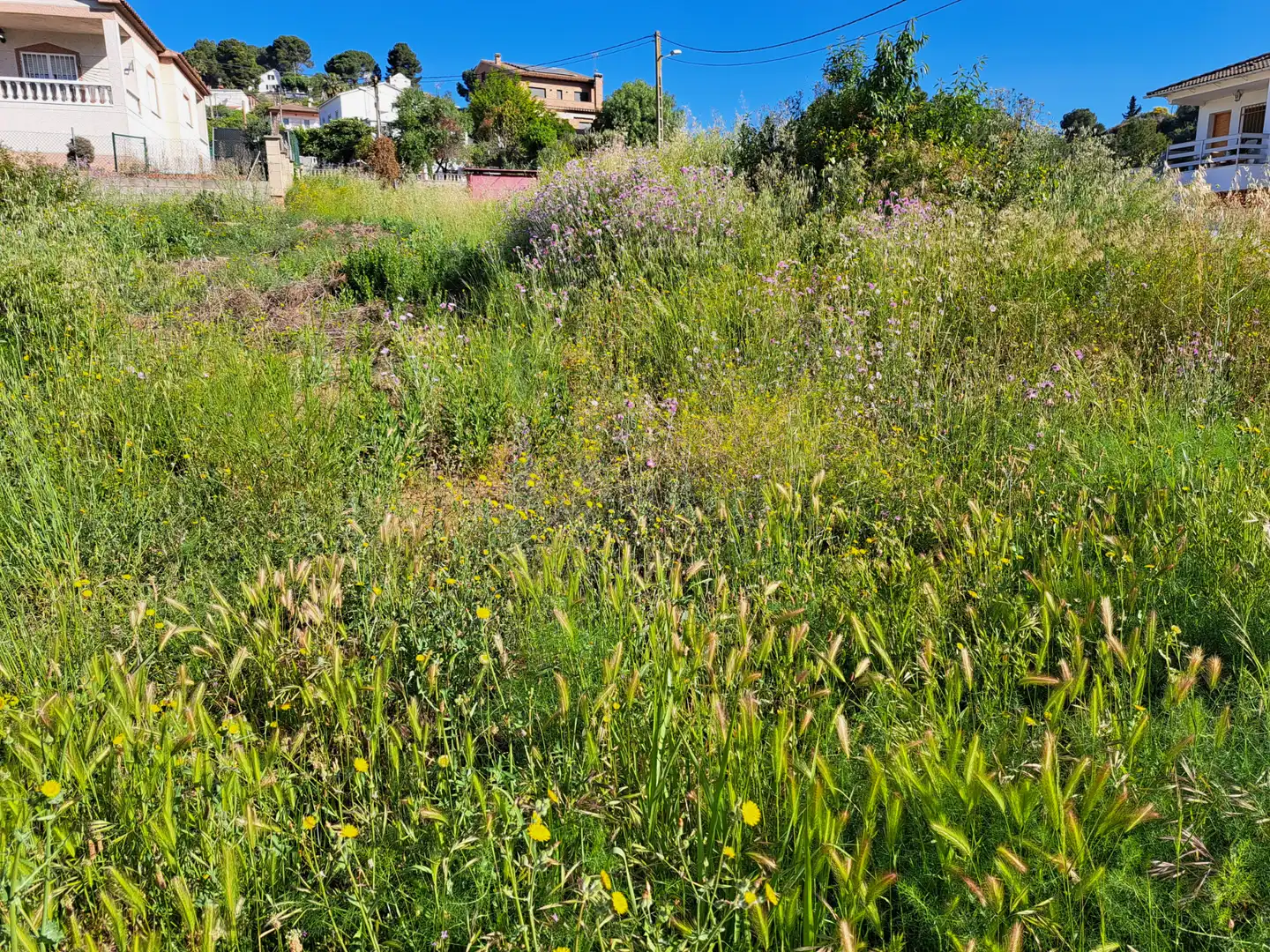 Terreno residencial en venta en Piera