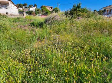 Residential land for sale in Piera