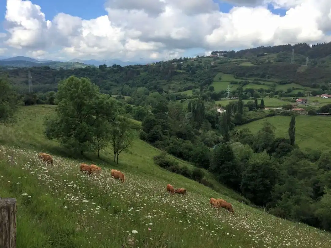 Rustikales Grundstück zum Verkauf in San Claudio - Trubia - Las Caldas